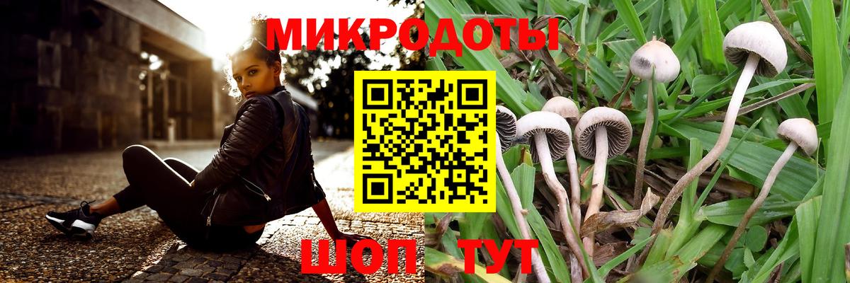 Новочеркасск  Галлюциногенные грибы MAGIC MUSHROOMS  Вход с VPN 
